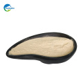 manufacturer supply top quality bacillus subtilis for fish and shrimp feed